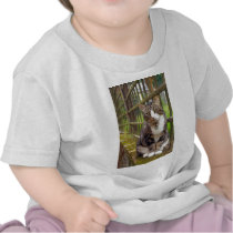 Cat on Wall Gift T Shirts