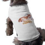 Cat Orange & White Dog T-Shirt pet clothing