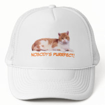 Cat Orange & White Hat