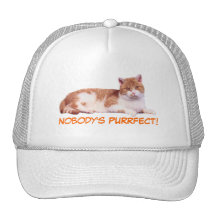 Cat Orange & White Hat