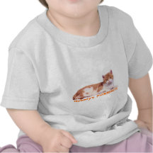 Cat Orange & White Todler T-Shirt