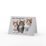 Cat Outside The Box Greeting Card