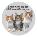 Cat Outside The Box Sticker
