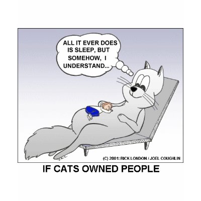Cat Owner Funny Gifts Tees & Collectibles by beardiethor123