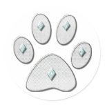 Cat Paw Print