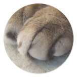 Cat Paw Stickers