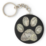 CAT PAW WITH CATS KEY CHAINS