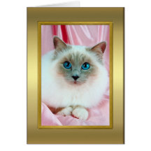 Cat Pedigree Card