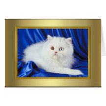 Cat Pedigree Card