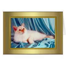Cat Pedigree Card