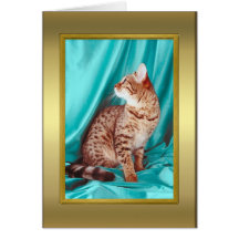Cat Pedigree Card