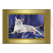 Cat Pedigree Card