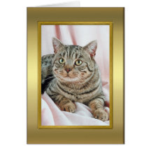 Cat Pedigree Card