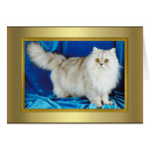 Cat Pedigree Card