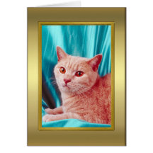 Cat Pedigree Card