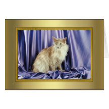 Cat Pedigree Card