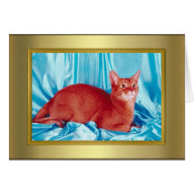 Cat Pedigree Card