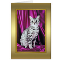 Cat Pedigree Card