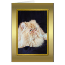 Cat Pedigree Card