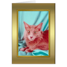Cat Pedigree Card