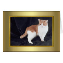Cat Pedigree Card