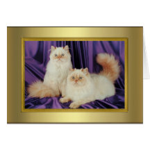 Cat Pedigree Card