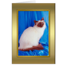 Cat Pedigree Card