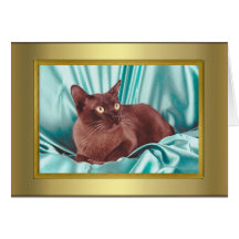 Cat Pedigree Card