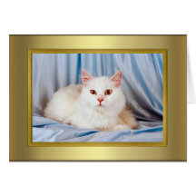 Cat Pedigree Card