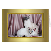 Cat Pedigree Card