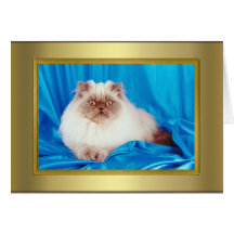 Cat Pedigree Card