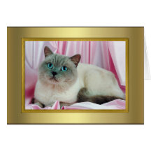 Cat Pedigree Card