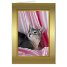 Cat Pedigree Card