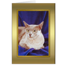 Cat Pedigree Card