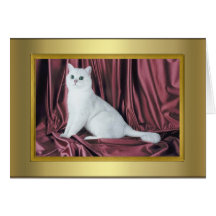 Cat Pedigree Card