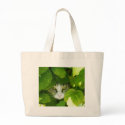 cat peeking from plants bags