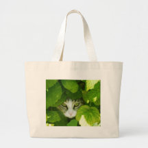 cat peeking from plants bag