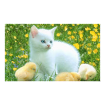 cat photo print