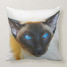CAT PILLOWS