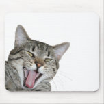 Cat portrait mousepads