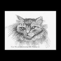 Cat Postcard