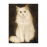 CAT POST CARD