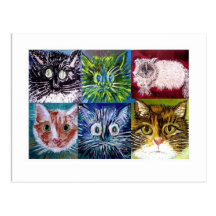 Cat Postcard