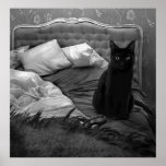 Cat Posters