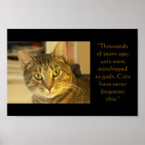 Cat Poster
