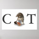 'CAT'  posters