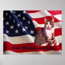 Cat Poster All American