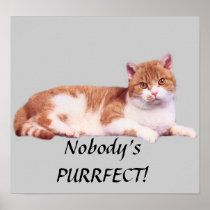 Cat Poster Orange & White Nobody's PURRFECT