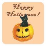 Cat & Pumpkin Face Halloween Vintage Stickers