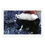 Cat ready to pounce behind blue tinsel, faded tint personalized invitation